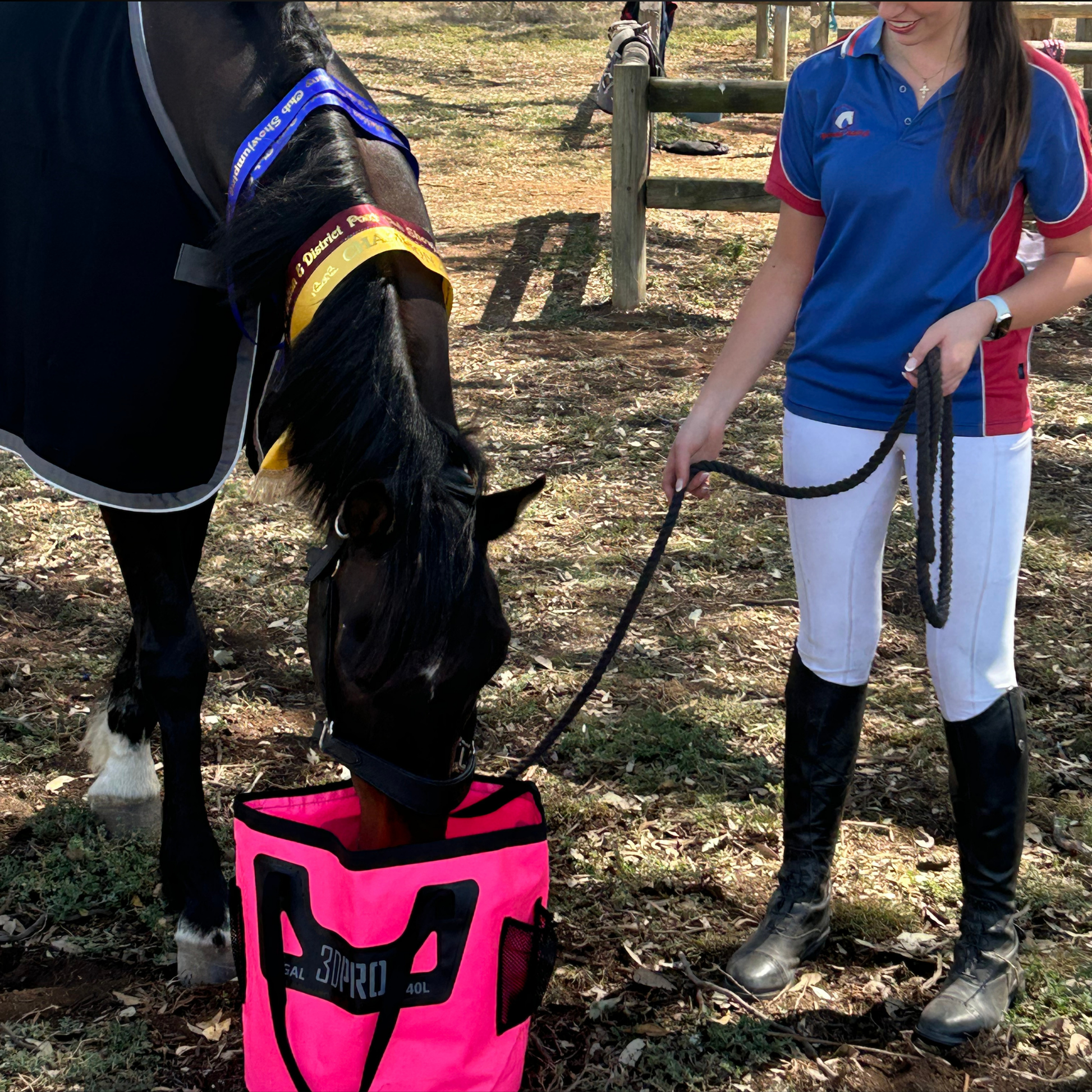 Person in equestrian attire standing next to a horse drinking water on a 3DPRO pink folding bucket