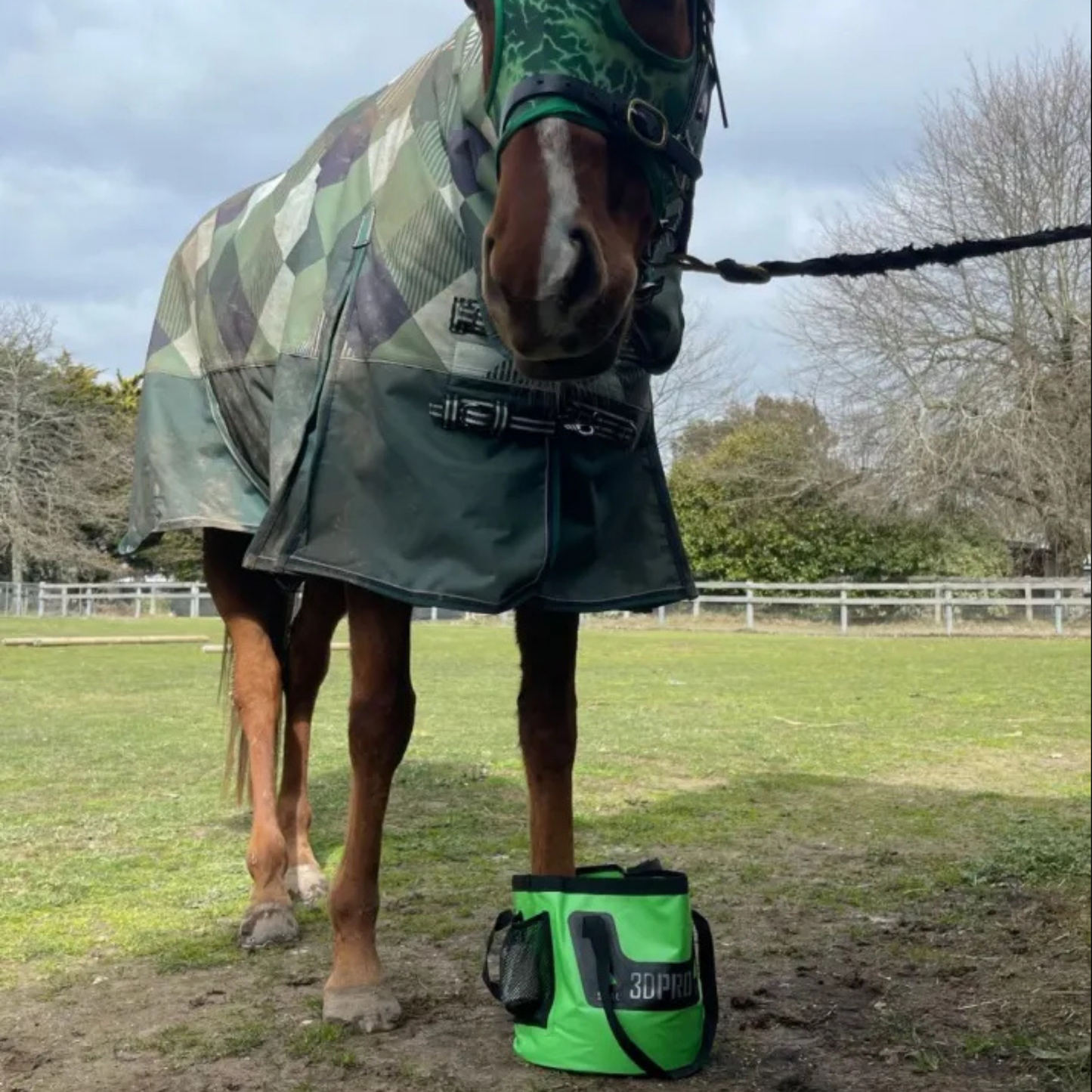 Horse wearing a camouflage raincoat with a green 3DPRO folding bucket on the ground in an outdoor setting.