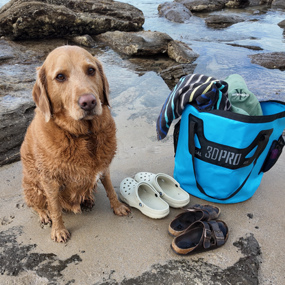 Dog sitting on a rocky beach with a blue folding bucket, shoes, and towels.
