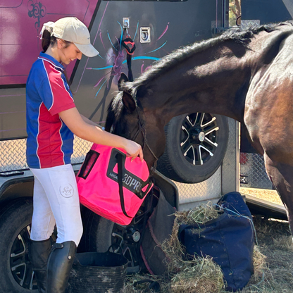 Person making a horse drink water from a 3DPRO folding bucket