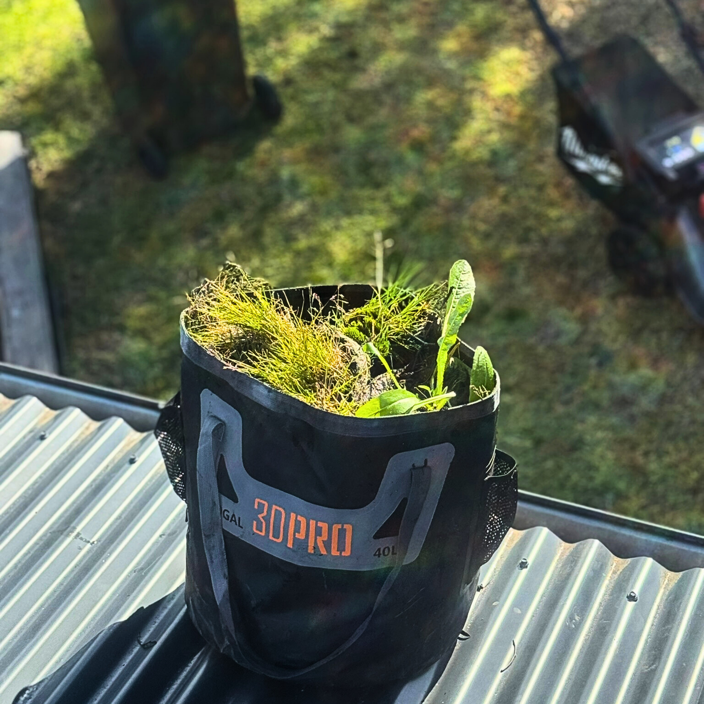 Small potted plant in a black folding bucket with '3DPRO' branding on a metal surface
