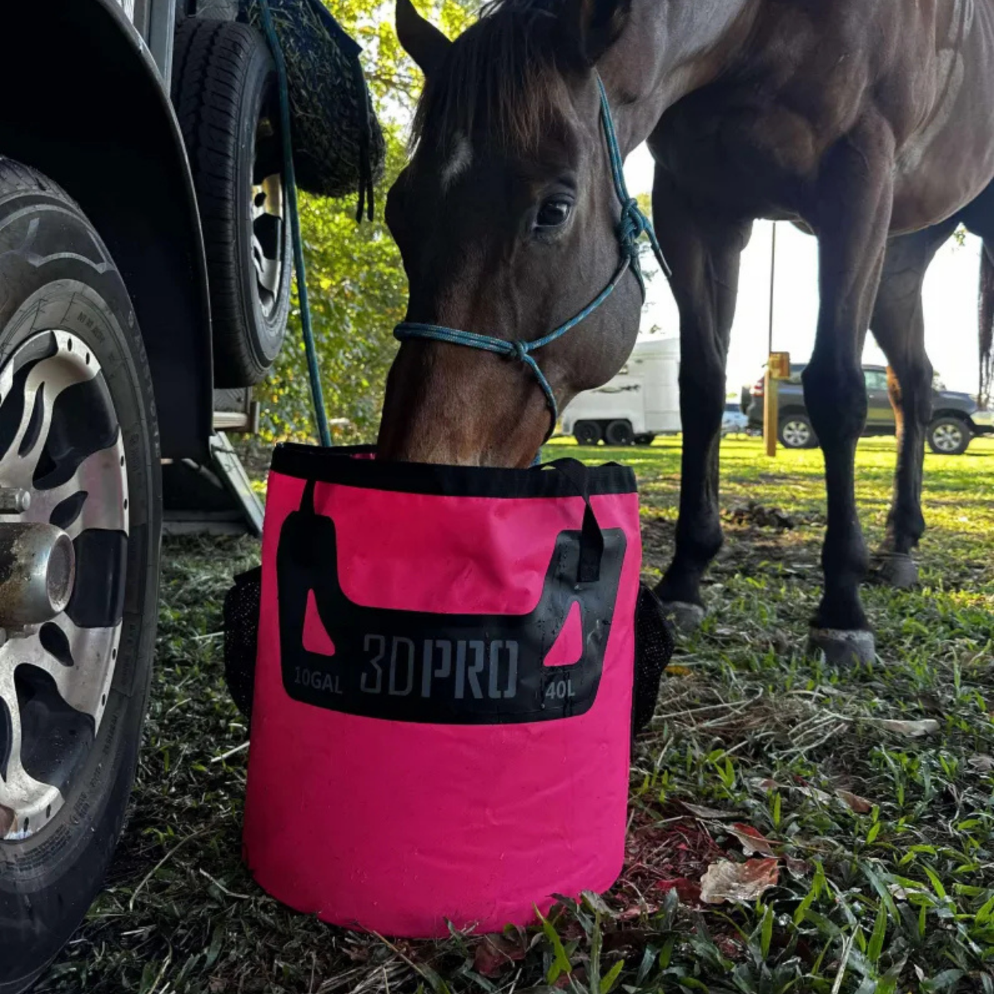 Pink 3DPRO bag with a horse drinking on it 
